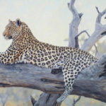 Big Game Safari