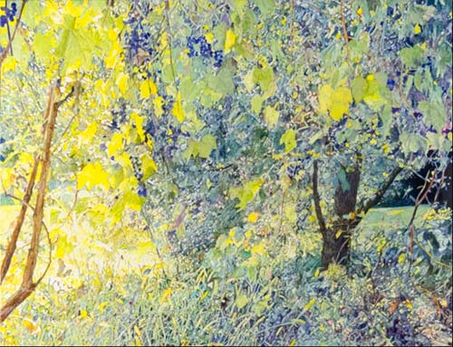 William Nichols, “Wild Summer Grapes,” 2013, oil on linen, 46 x 60 inches