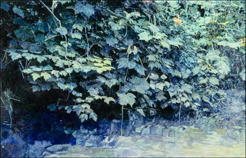 William Nichols, “Grape, Leaves & Orange Lillies,” 2010, oil on linen, 49 x 77 inches