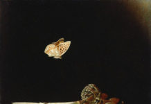 Golden Exhibition