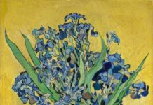 Van Gogh in Focus