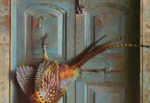 Annual Exhibition Takes Flight Once Again
