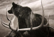 Wildlife Winners