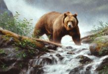 Featured Artists at SEWE