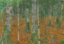 Seeing Nature