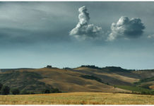 OPPORTUNITY: Painting in Tuscany