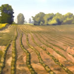 Featured Artwork: Susan Lynn