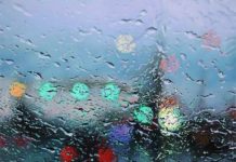 Rainy Views