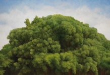 Featured Lot: Tzu-chi YEH, “Top of the Tree”