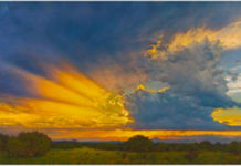 Discover How This Artist Captures the Eternal