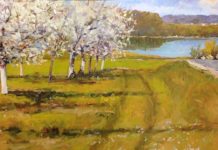 Do You Have a Rural Perspective?