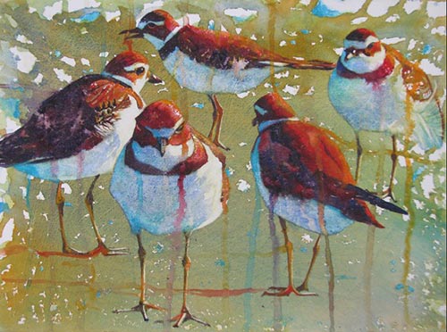 Pat Holscher, “Plover Playtime,” watercolor on gessoed paper, 11 x 15 in. (c) Pat Holscher 2015