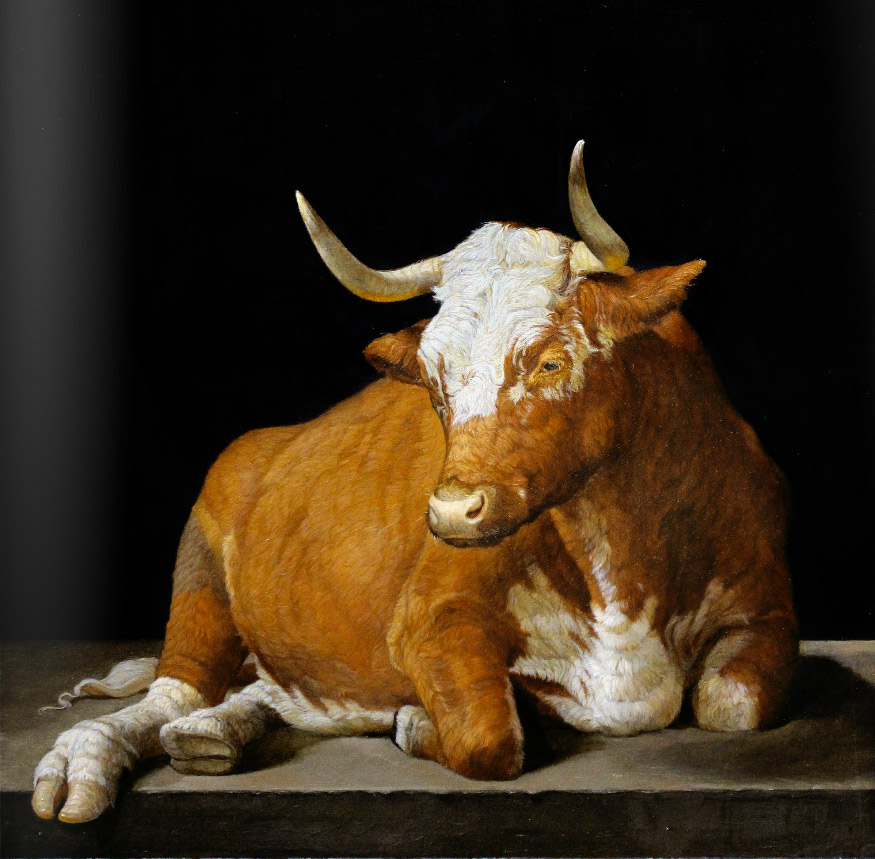 Patricia Traub, “Lineback Cow,” oil on panel, 12 x 12 in. (c) Gallery Henoch 2016