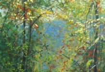 Textures in Appalachia You’ve Got to See