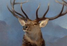 An Available Icon
