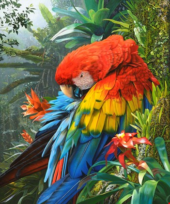 Stephen Jesic (1st – Animal), “Jewel of the Amazon,” 2015, acrylic on birch, 24 x 20 in. (c) ARC 2016