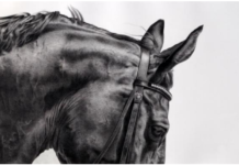 Are You Ready to ‘Giddy Up’? Grab Your Boots!