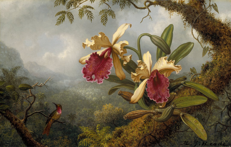 Martin Johnson Heade, “Orchids and Hummingbird,” 1875, oil on canvas, 14 1/8 x 22 1/8 in. (c) Museum of Fine Arts, Boston 2017