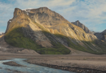 VIDEO: Have You Been ‘Into the Arctic’?