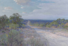 Are Texas Landscapes Special?