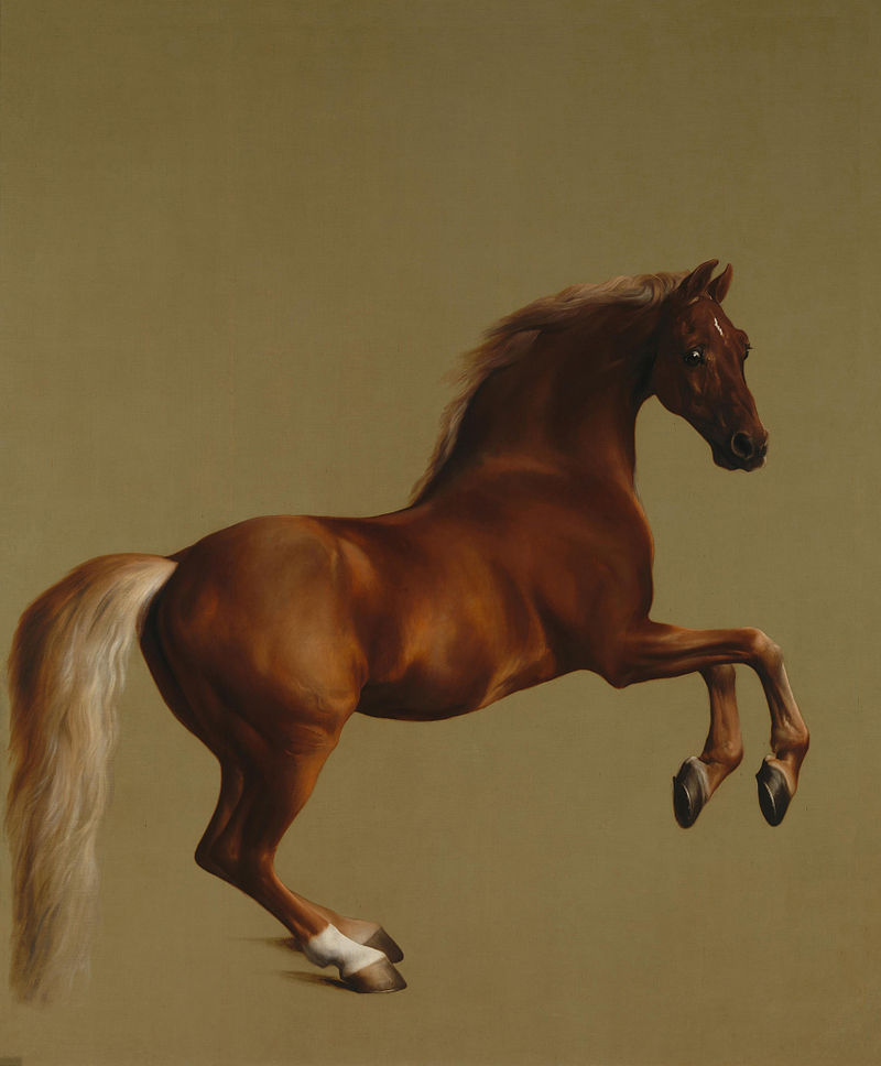 George Stubbs (1724-1806), “Whistlejacket,” 1762, oil on canvas, 292 x 246.4 cm. © National Gallery, London