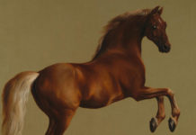 Portrait of the Week: Portraits Aren’t Always of People