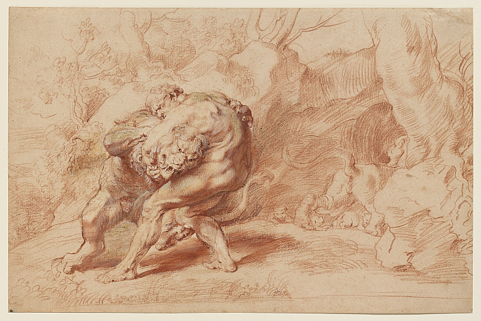 Peter Paul Rubens, “Hercules Strangling the Nemean Lion,” circa 1620, color chalks, ink and gouache, © The Clark Art Institute 2017