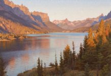 A Life Outdoors, in Your Home