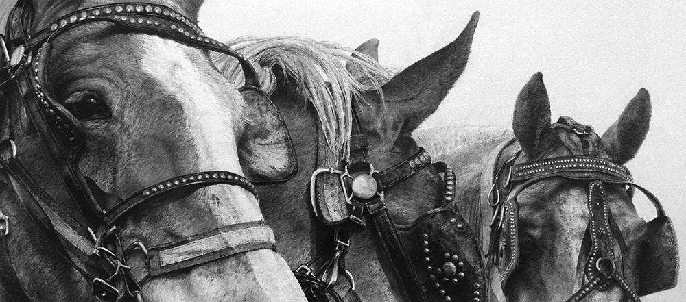 Terry Miller, “The A Team,” 2013, graphite on board, 10 x 23 in. private collection
