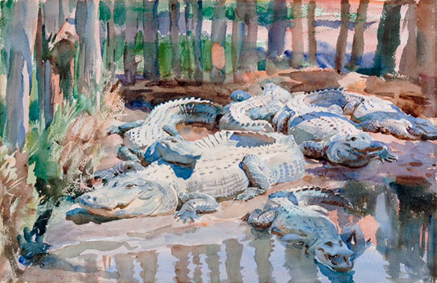John Singer Sargent, “Muddy Alligators,” 1917, watercolor over graphite on paper, © Worcester Art Museum