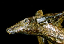 Featured Artwork: Darrell Davis