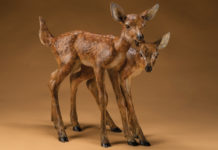 Featured Artwork: Star Liana York presented by Sorrel Sky Gallery