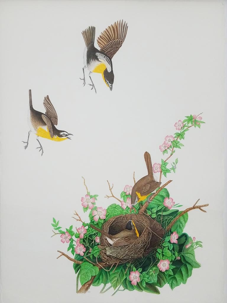 Robert Fleisher, “Yellow Breasted Chat,” 2016, watercolor on paper, 30 x 22 in. © 101/EXHIBIT