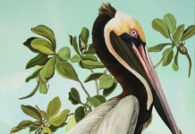 Birds of America, 2.0?