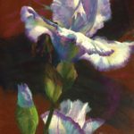 Featured Artwork: Jude Tolar, PSA