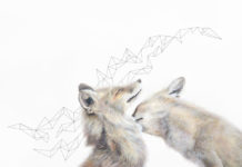 Featured Artwork: JenMarie Zeleznak presented by the National Museum of Wildlife Art
