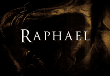 Raphael in 3D?