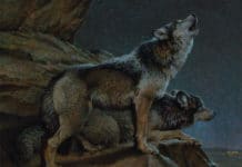 Featured Artwork: Ezra Tucker presented by Creighton Block Gallery
