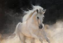 Featured Artwork: Kathryn Mapes Turner Presented by SEWE