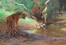 Featured Artwork: National Museum of Wildlife Art presents Wilhelm Kuhnert