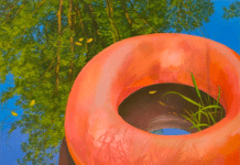 Universal Objectivity — The Great Lie