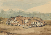 150 Drawings That Tell the Story of a Visionary Collector