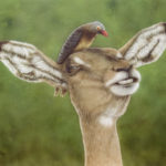 Featured Artwork: Ginger Gehres