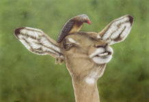 Featured Artwork: Ginger Gehres
