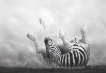 Featured Artwork: Ginger Gehres