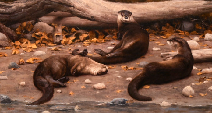 wildlife paintings - Kyle Sims - FineArtConnoisseur.com