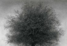 On Paper, An Exhibition of Drawings Fine art drawings by Sue Bryan