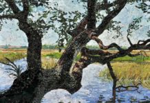 Healing Nature: Human Vision, Art, and the Environment Environmental art by William Lord
