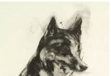 Beast-Like Qualities Fine art charcoal drawings - Nicola Hicks - FineArtConnoisseur.com