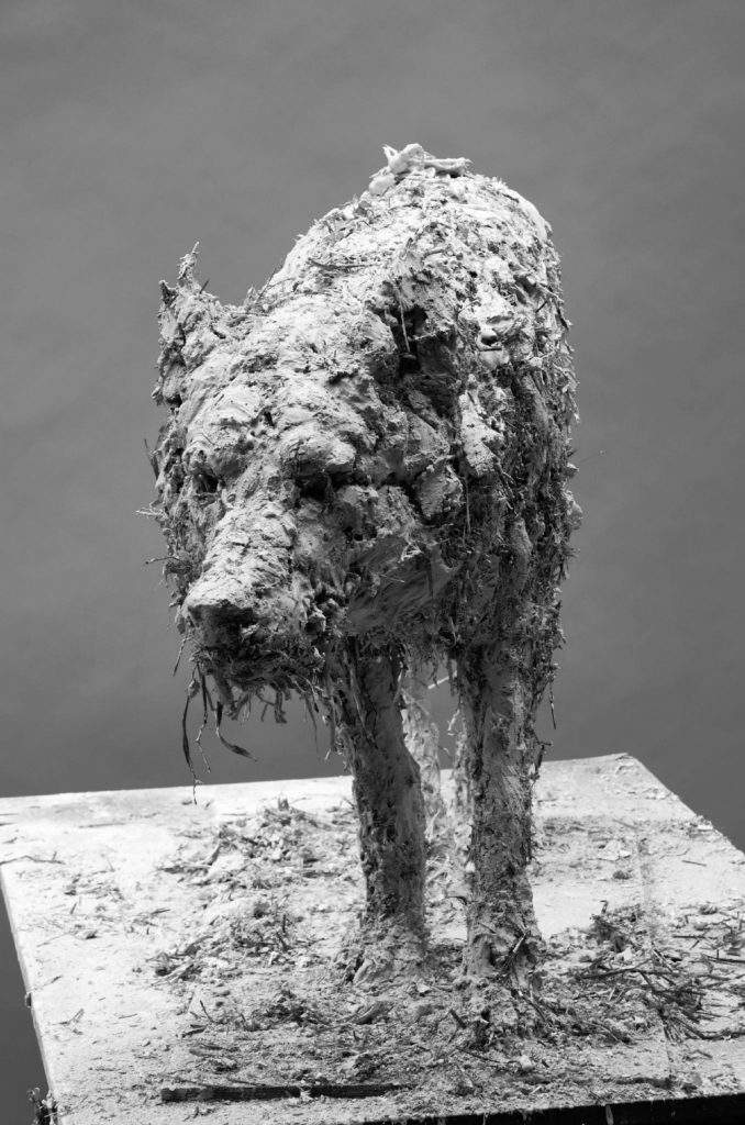 Animal Sculptures - Nicola Hicks - FineArtConnoisseur.com